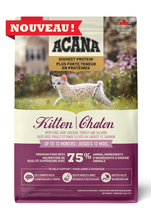 Plus Forte Teneur En Protéines, Chaton